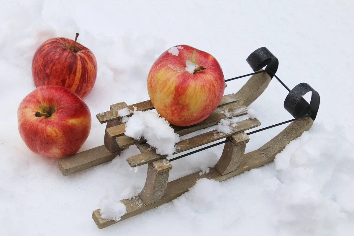 flu, epidemic, resistance, security, virus, vitamin c, disease, health, hygiene, viruses, fever, medical, to prevent, detox, diet, fruit, fresh, nutrition, nature, healthy, snow, winter, apple, disease prevention, infection - chronic disease prevention