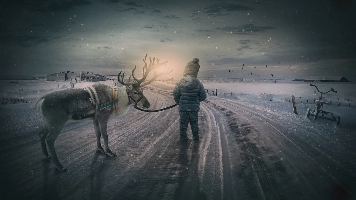 winter landscape, reindeer, boy, fairytale, nature, small child, landscape, moose, snow, evening atmosphere, sunset, composing, child, fantasy, dream, dreams - dream analysis experts online
